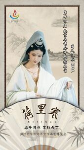 2023年“与子同袍·茗动天下”汉服模特大赛 第一批海报 03.jpg